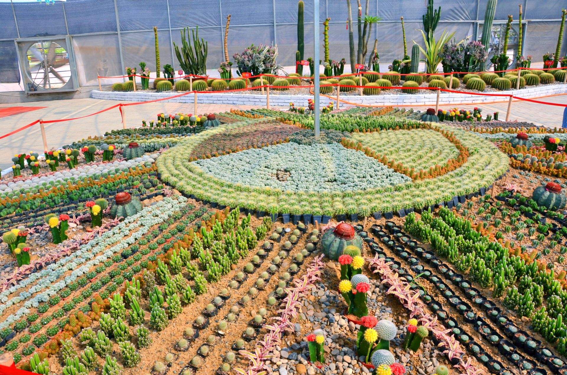 宜昌枝江同心花海拓展基地