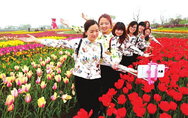 宜昌枝江同心花海拓展基地