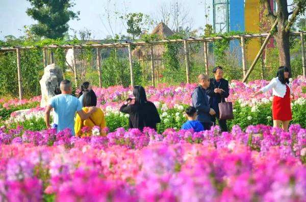 宜昌枝江同心花海拓展基地