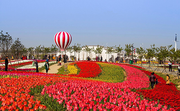 孝感金卉庄园会议旅游拓展