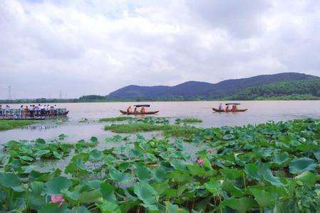 武汉蔡甸金龙水寨采摘旅游度假村
