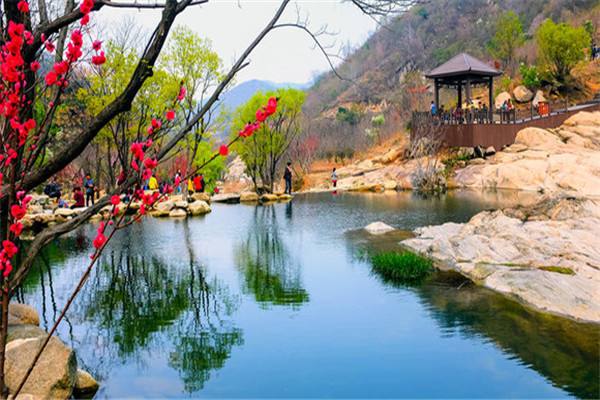 姚家山旅游风景区赏花拓展游玩好地方