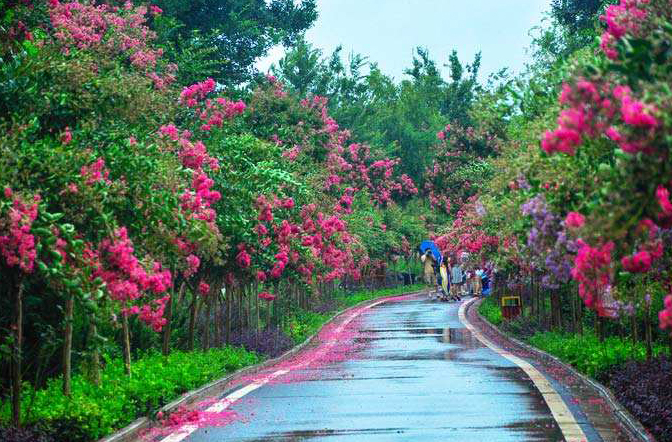 武汉紫薇都市田园景区拓展基地