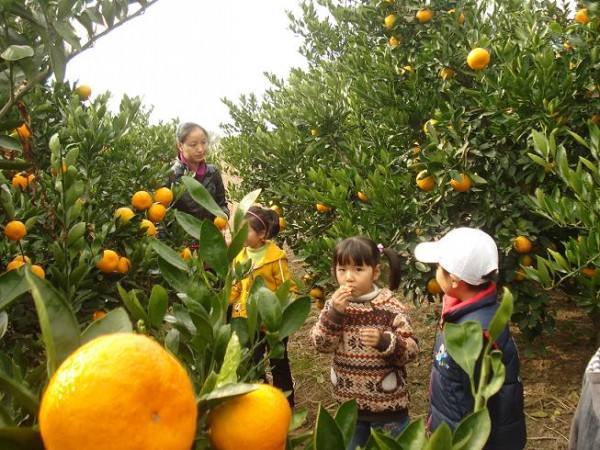 姚家山旅游风景区赏花拓展游玩好地方