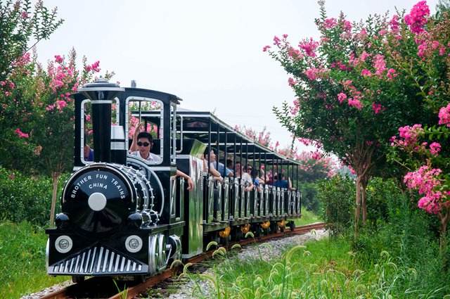 武汉紫薇都市田园景区拓展基地