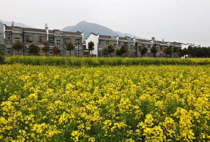 姚家山旅游风景区赏花拓展游玩好地方