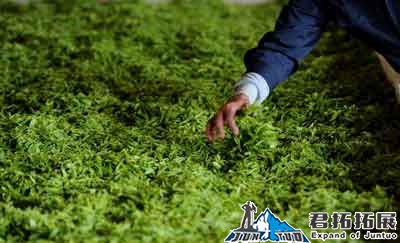 红安春晓家庭农场拓展基地