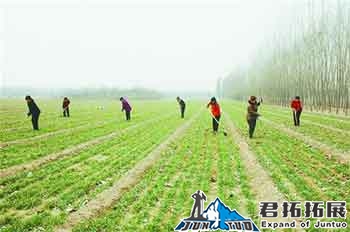 红安春晓家庭农场拓展基地