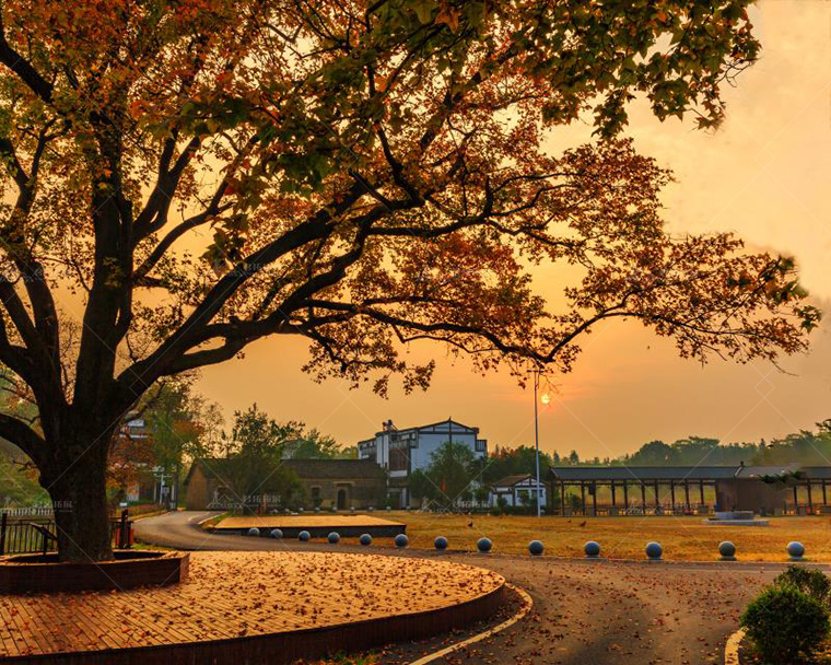 黄陂木兰花乡风景区