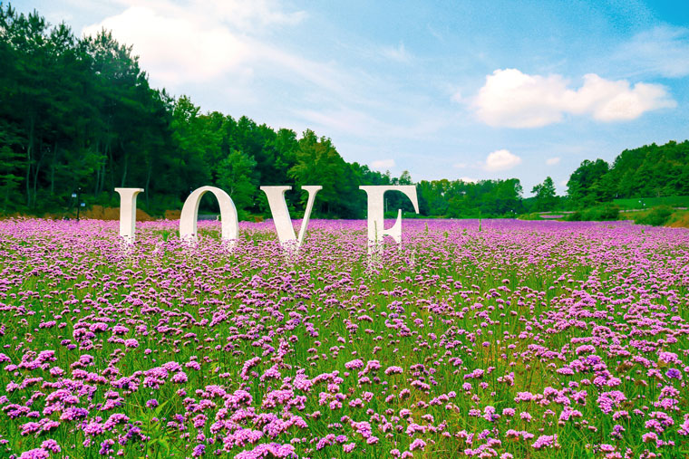 黄陂木兰花乡风景区