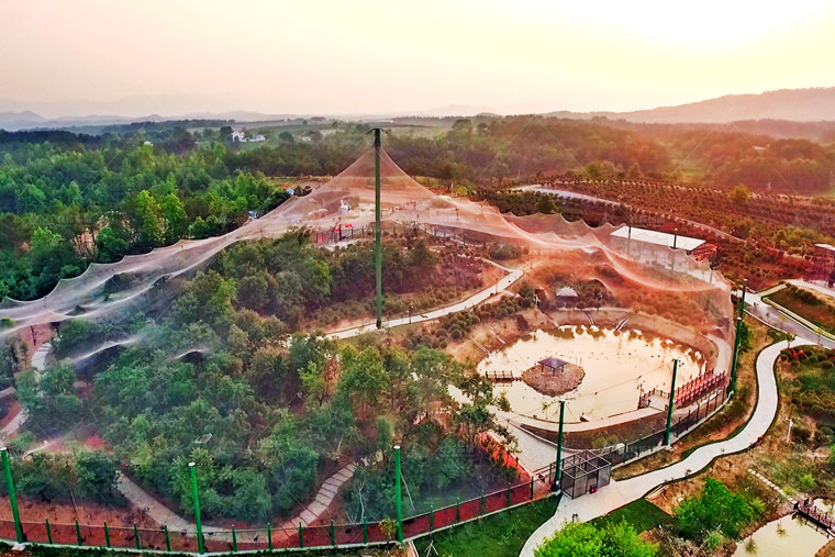 黄陂木兰花乡风景区