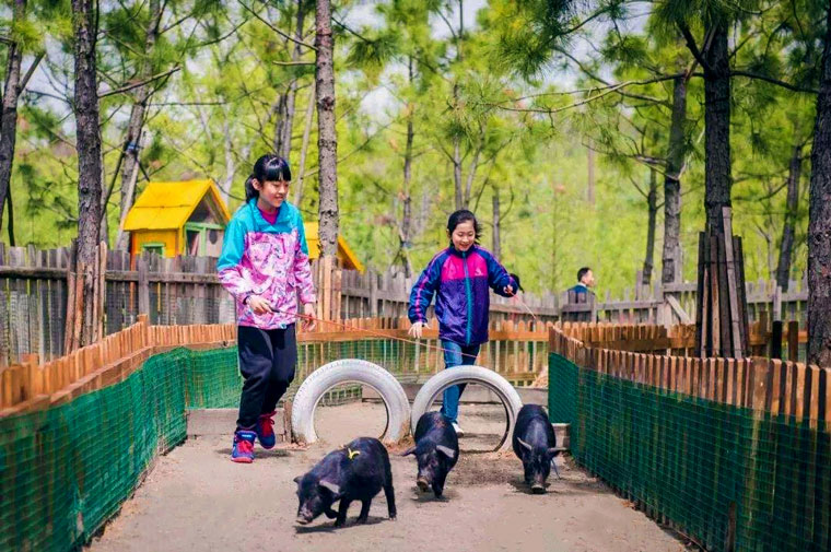 花世界WEB萌宠乐园