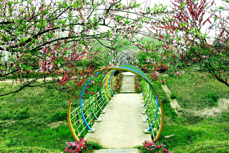 武汉花世界·花呆萌乐园