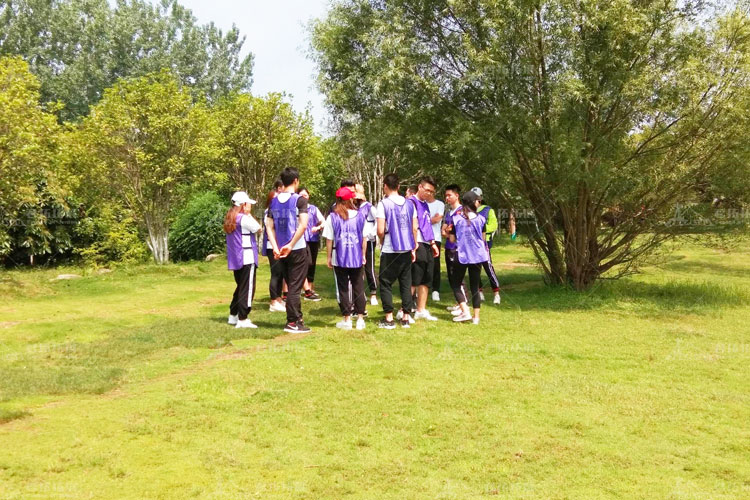 木兰草原上的宝力健身年中大型团建活动