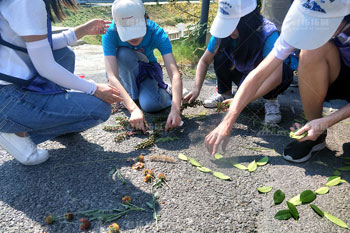武汉理工木兰花谷培训