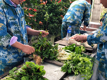尚层装饰百果园魔训拓展