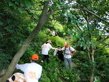 融创6月大别山徒步拓展