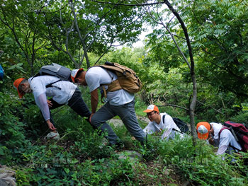 融创6月大别山徒步拓展
