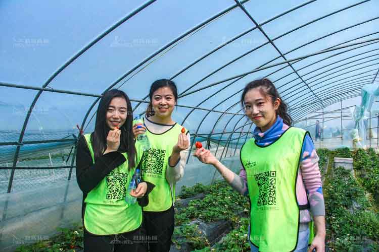 建设银行百果园拓展活动