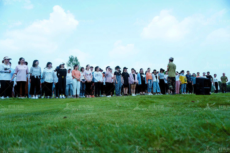 太平洋保险2019拓展在木兰草原进行