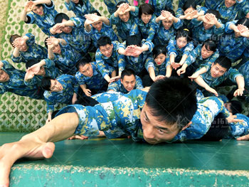 泰康人寿田田教育基地培训