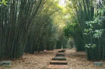 咸宁浅水湾咸宁潜山森林公园第二季户外拓展训练