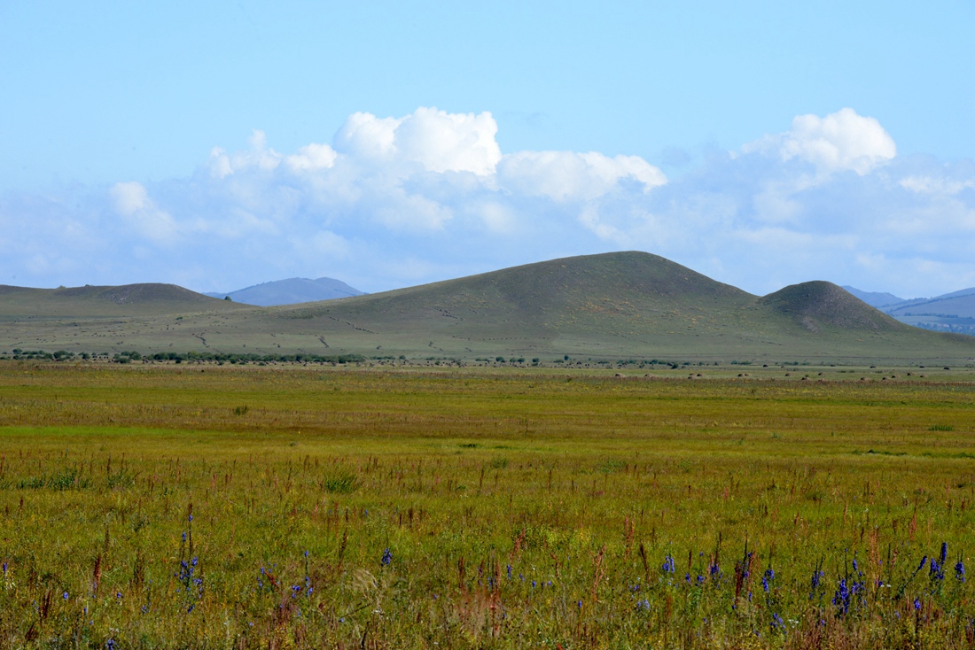 阳光保险木兰草原一日拓展培训