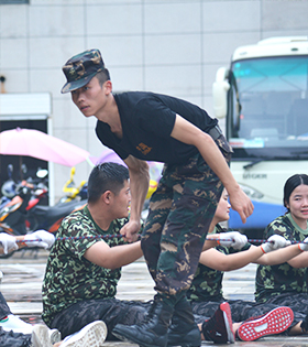 <strong>袁鸣 C3</strong>